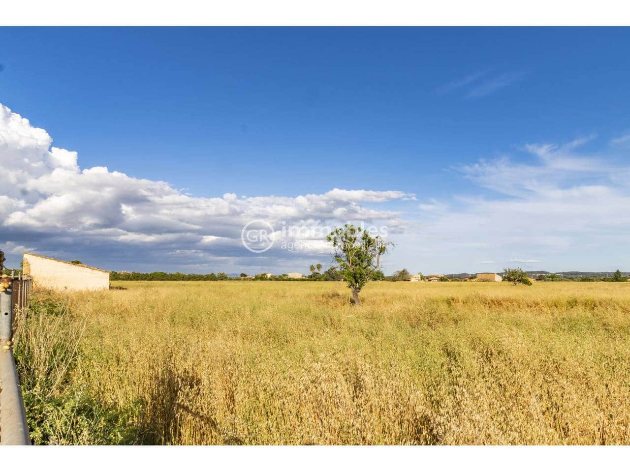 Bauplatz zu verkaufen in Biniagual - 2.100.000 € (Ref: 9437962)