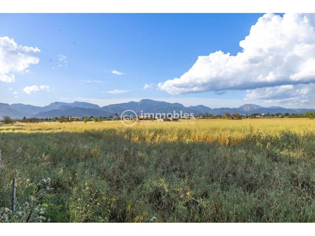 Bauplatz zu verkaufen in Biniagual, Binissalem - 2.100.000 € (Ref: 9437962)