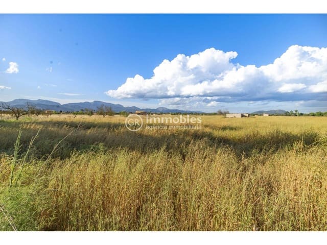 Bauplatz zu verkaufen in Biniagual, Binissalem - 2.100.000 € (Ref: 9437962)