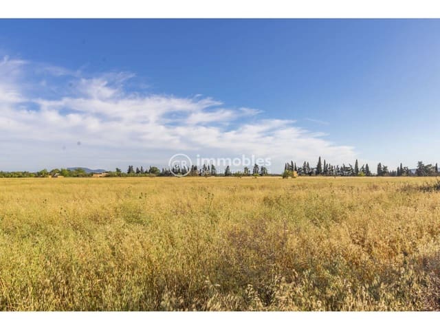 Bauplatz zu verkaufen in Biniagual, Binissalem - 2.100.000 € (Ref: 9437962)