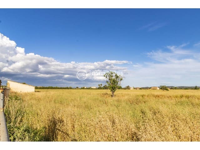 Bauplatz zu verkaufen in Biniagual, Binissalem - 2.100.000 € (Ref: 9437962)