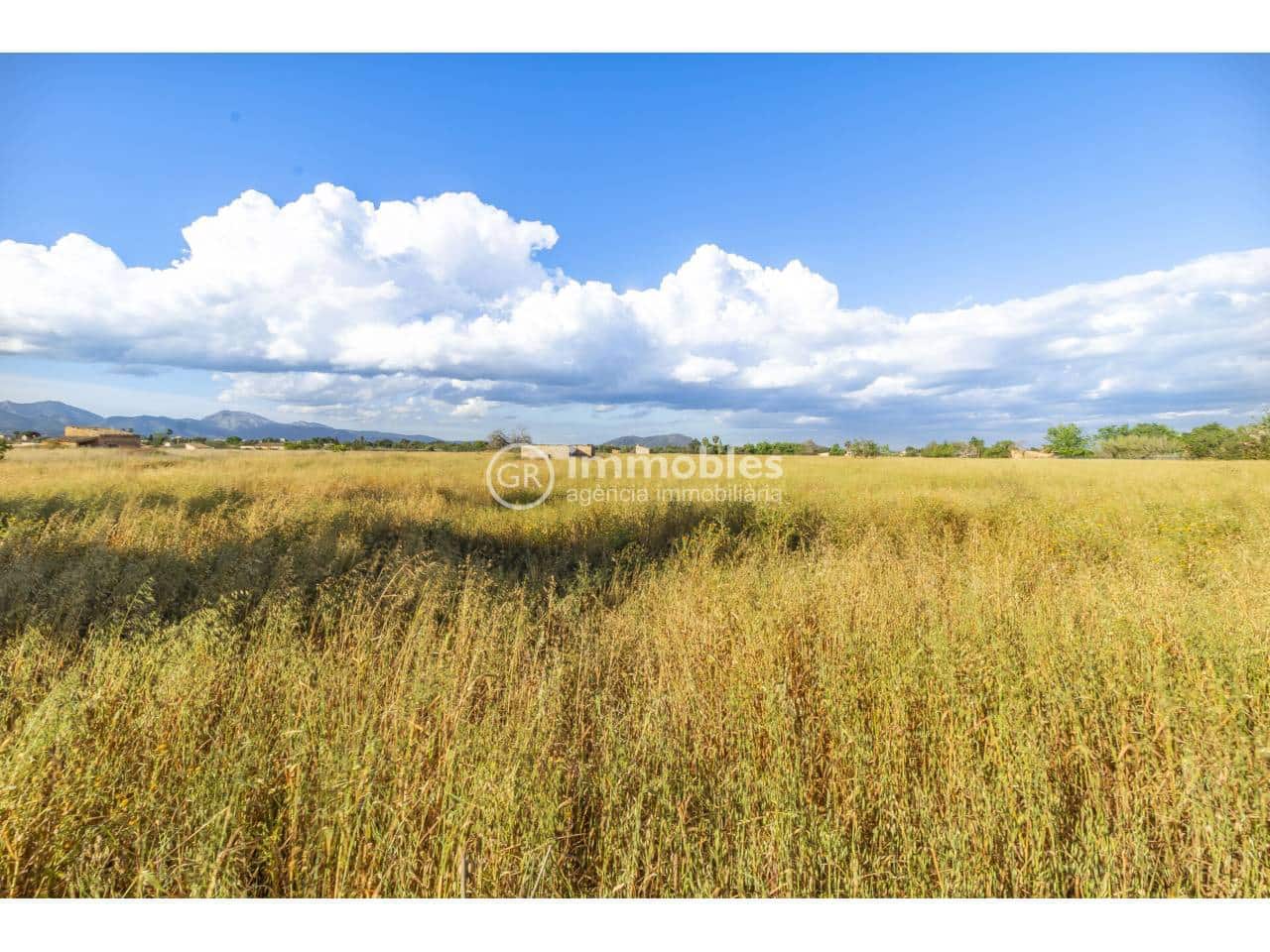 Bauplatz zu verkaufen in Biniagual - 2.100.000 € (Ref: 9437962)