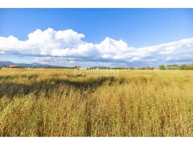 Bauplatz zu verkaufen in Biniagual, Binissalem - 2.100.000 € (Ref: 9437962)