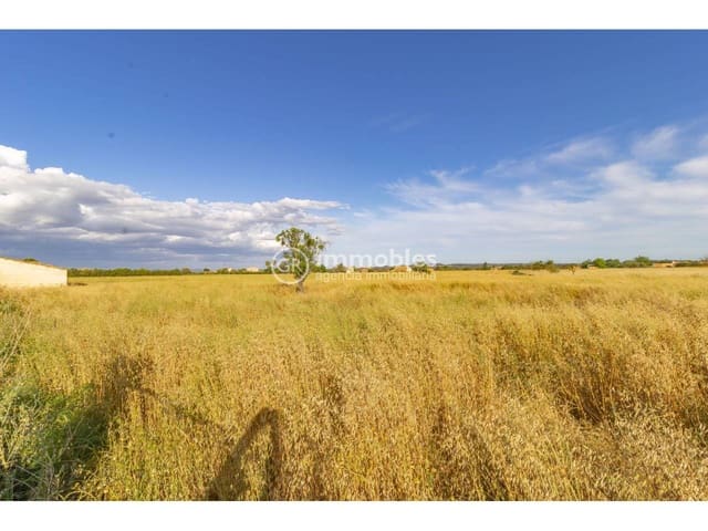 Bauplatz zu verkaufen in Biniagual, Binissalem - 2.100.000 € (Ref: 9437962)