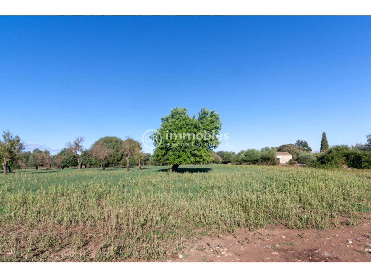 Finca/Country House for sale in Selva with pool garage - € 2,800,000 (Ref: 9437967)