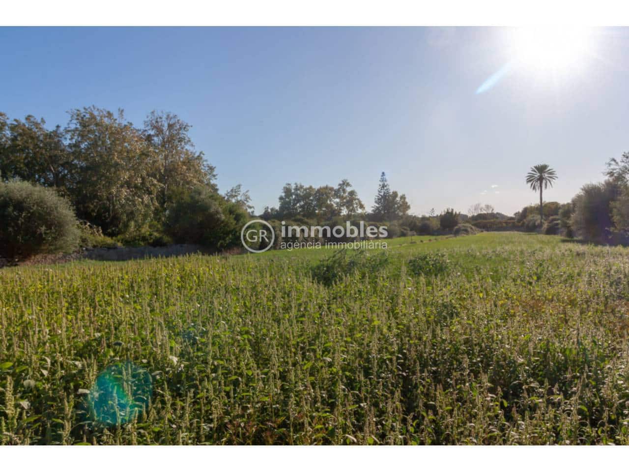 Finca/Country House for sale in Selva with pool garage - € 2,800,000 (Ref: 9437967)