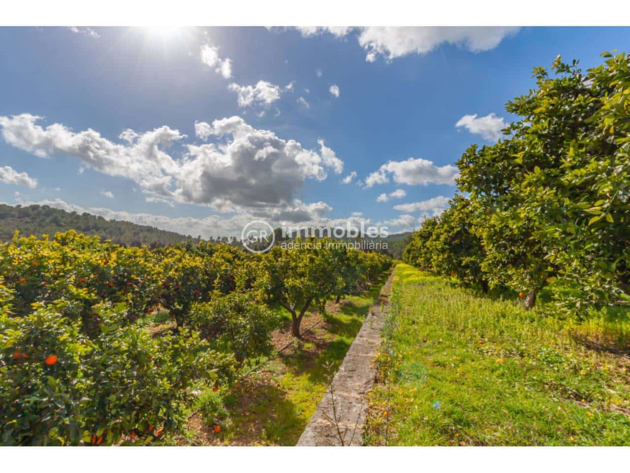 4 bedroom Villa for sale in Sa Pobla with pool garage - € 1,500,000 (Ref: 9437969)