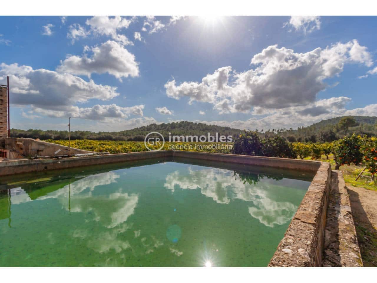 4 bedroom Villa for sale in Sa Pobla with pool garage - € 1,500,000 (Ref: 9437969)