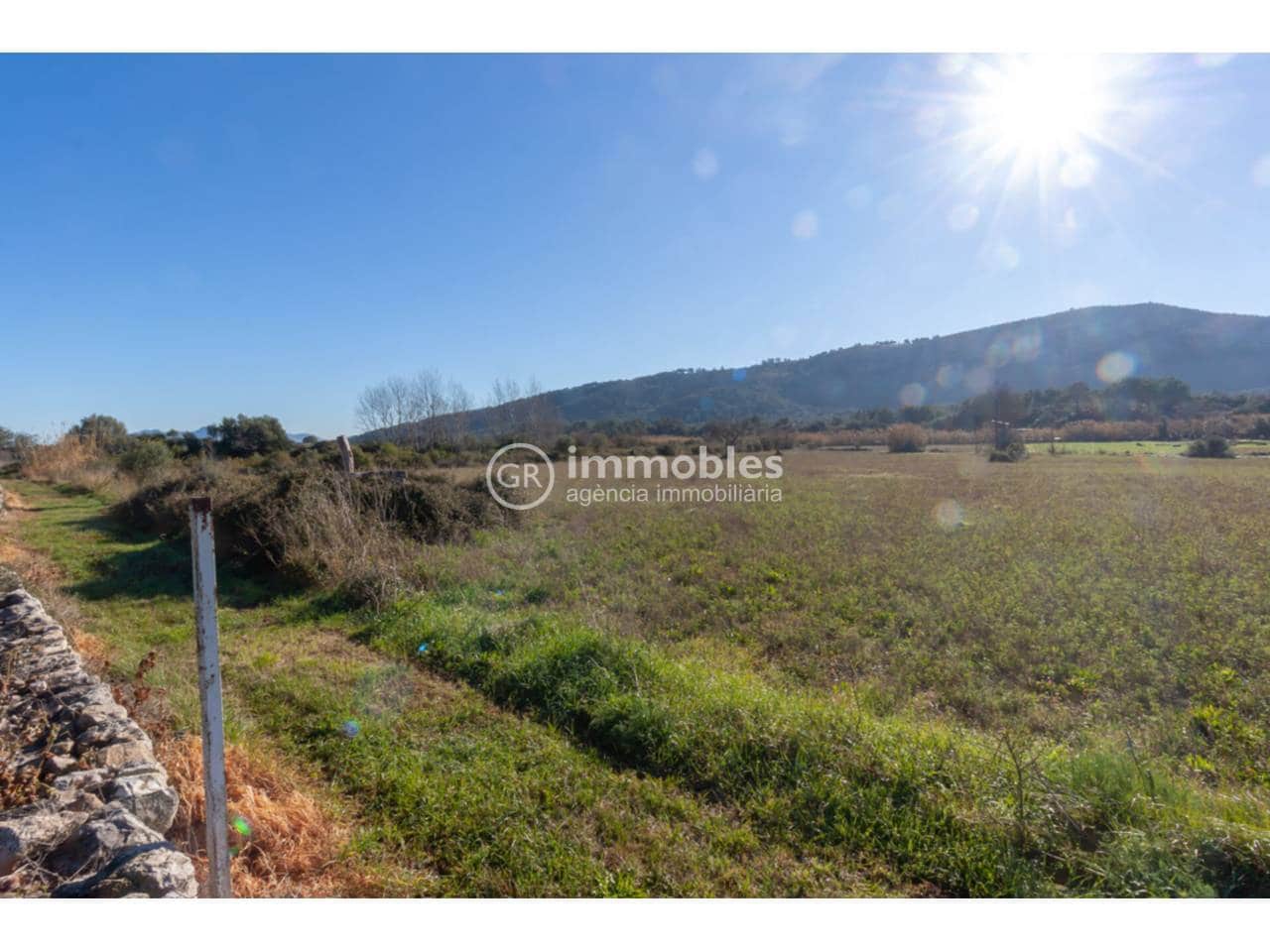 Landgrundstück zu verkaufen in Pollensa / Pollenca - 65.000 € (Ref: 9437973)