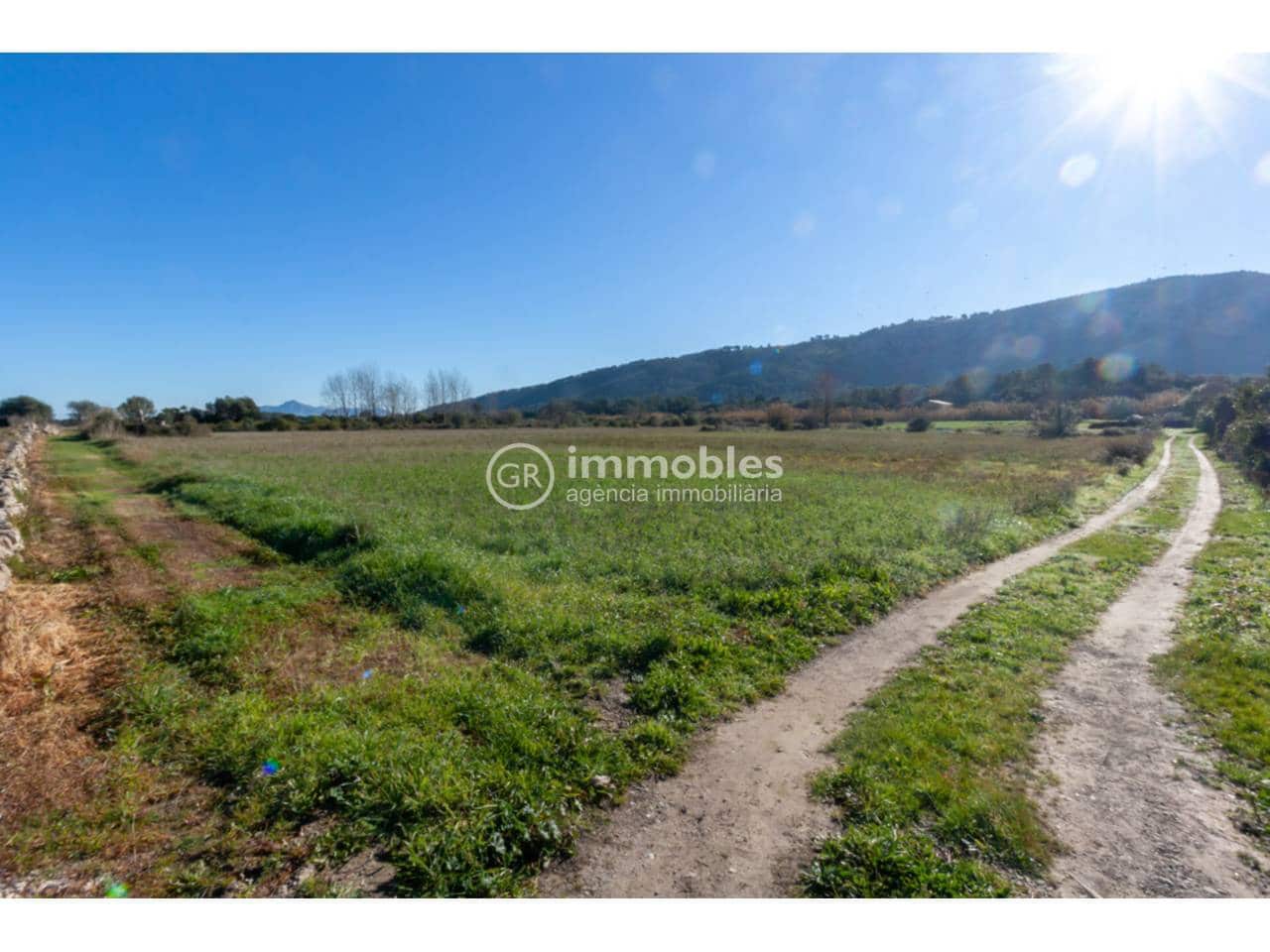 Landgrundstück zu verkaufen in Pollensa / Pollenca - 65.000 € (Ref: 9437973)