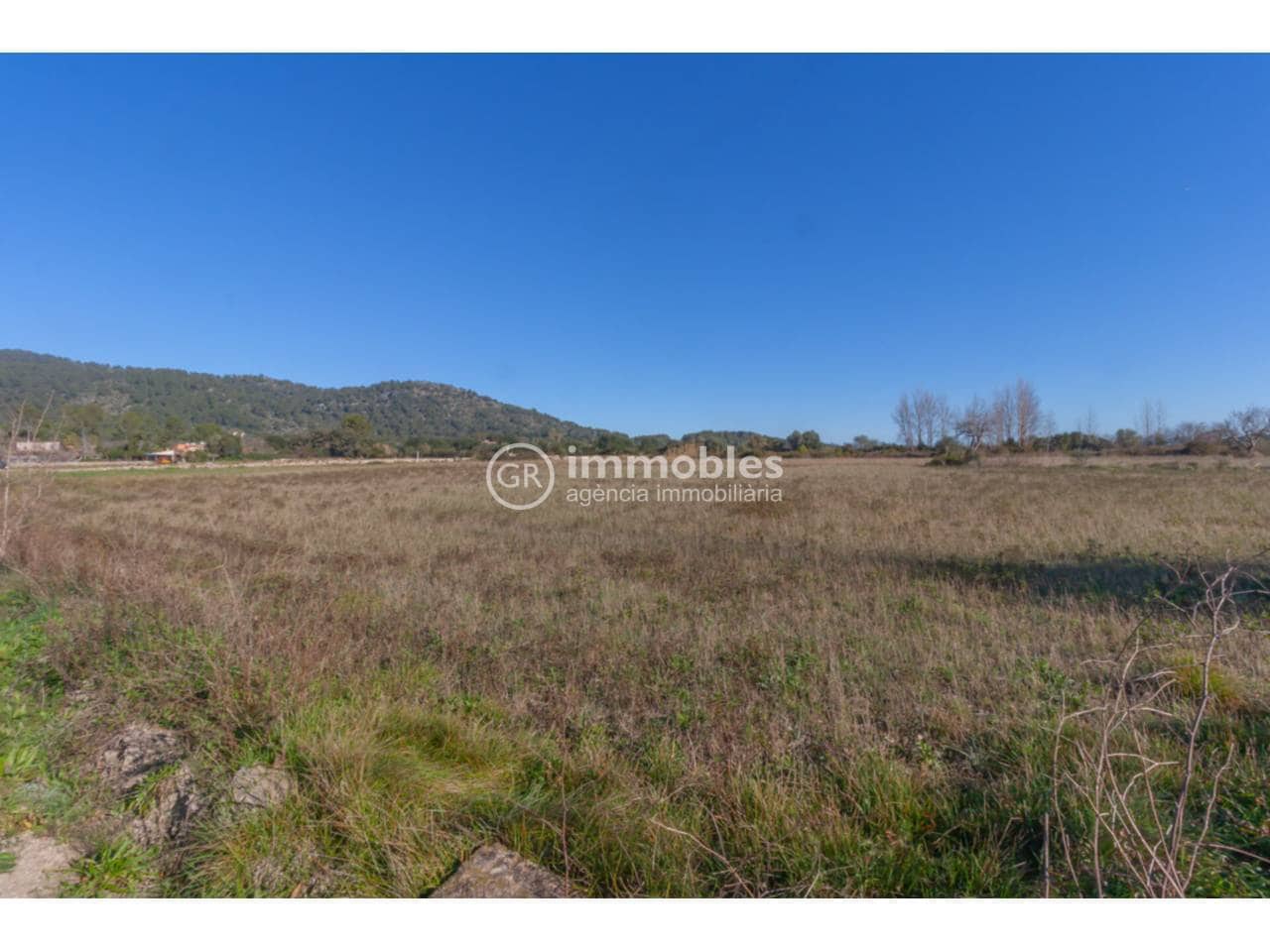 Landgrundstück zu verkaufen in Pollensa / Pollenca - 65.000 € (Ref: 9437973)
