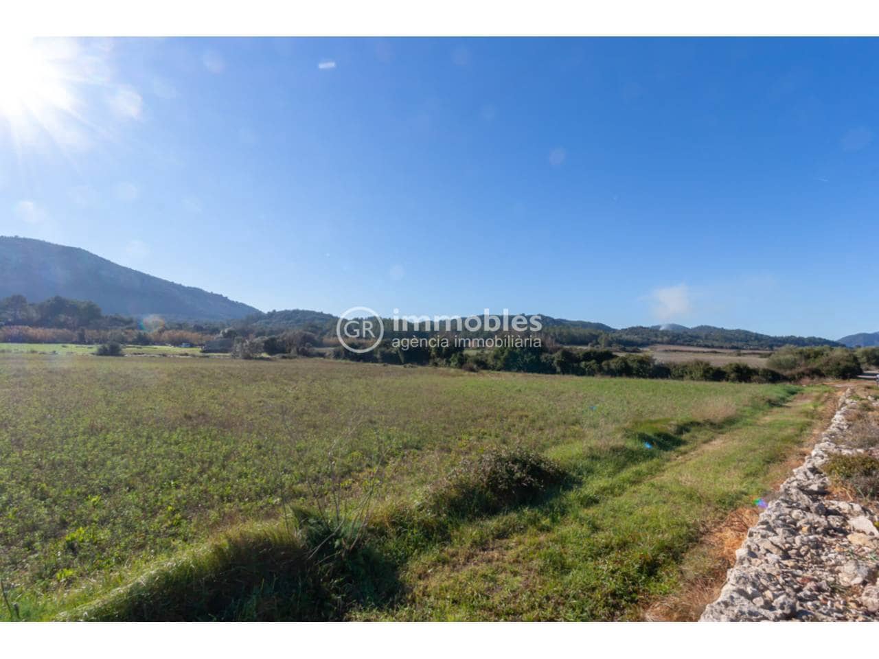 Landgrundstück zu verkaufen in Pollensa / Pollenca - 65.000 € (Ref: 9437973)