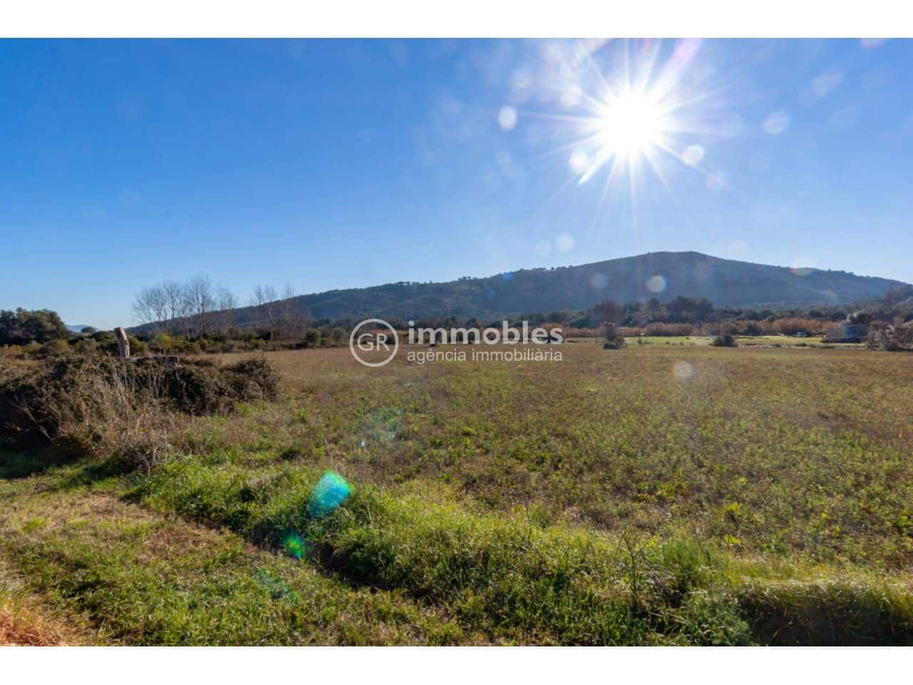 Landgrundstück zu verkaufen in Pollensa / Pollenca - 65.000 € (Ref: 9437973)