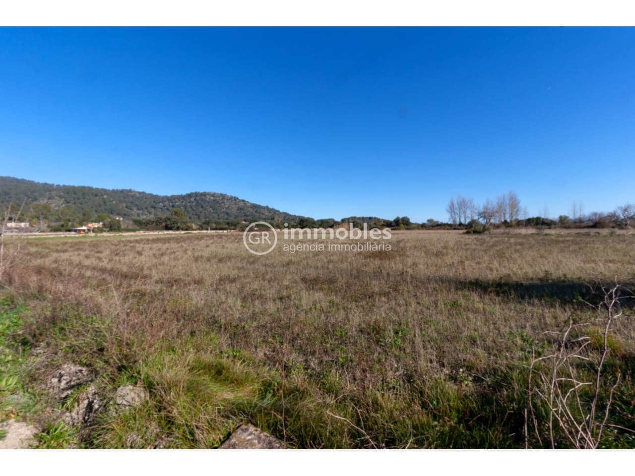 Landgrundstück zu verkaufen in Pollensa / Pollenca - 65.000 € (Ref: 9437973)