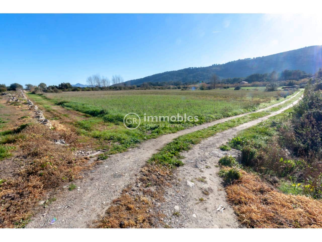 Landgrundstück zu verkaufen in Pollensa / Pollenca - 65.000 € (Ref: 9437973)