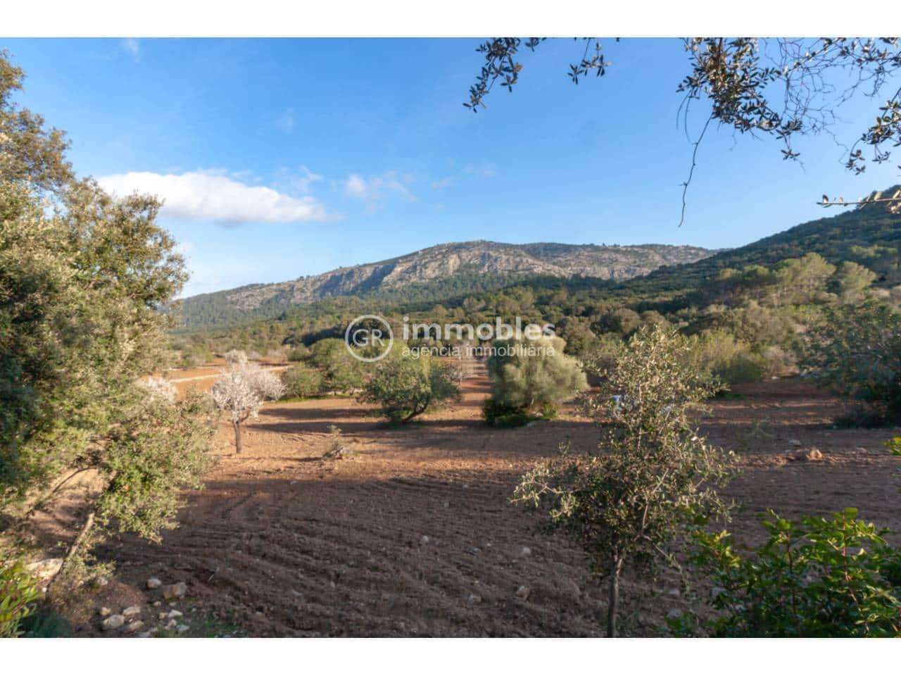 1 bedroom Villa for sale in Pollensa / Pollenca - € 2,700,000 (Ref: 9437975)