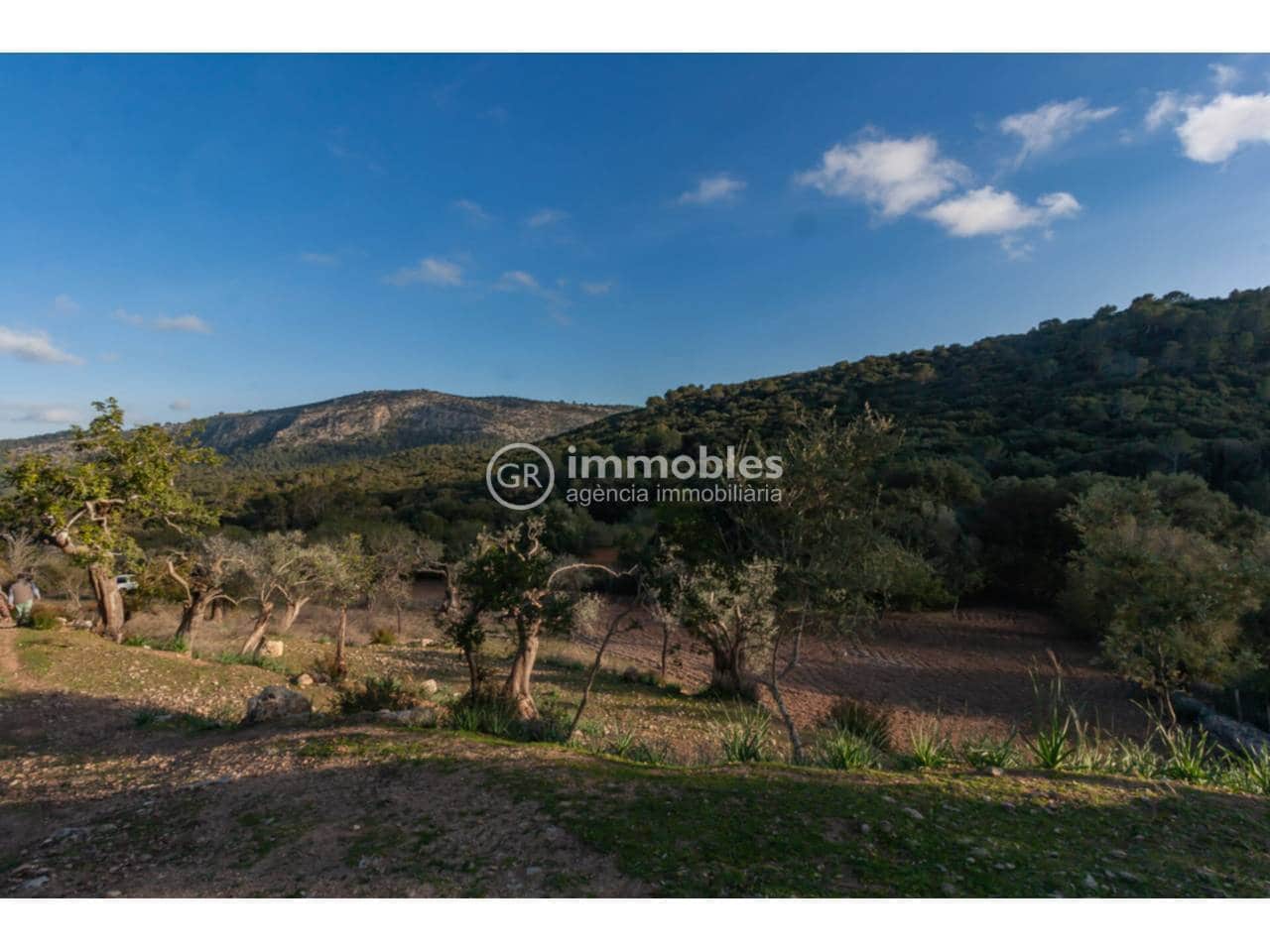 1 bedroom Villa for sale in Pollensa / Pollenca - € 2,700,000 (Ref: 9437975)