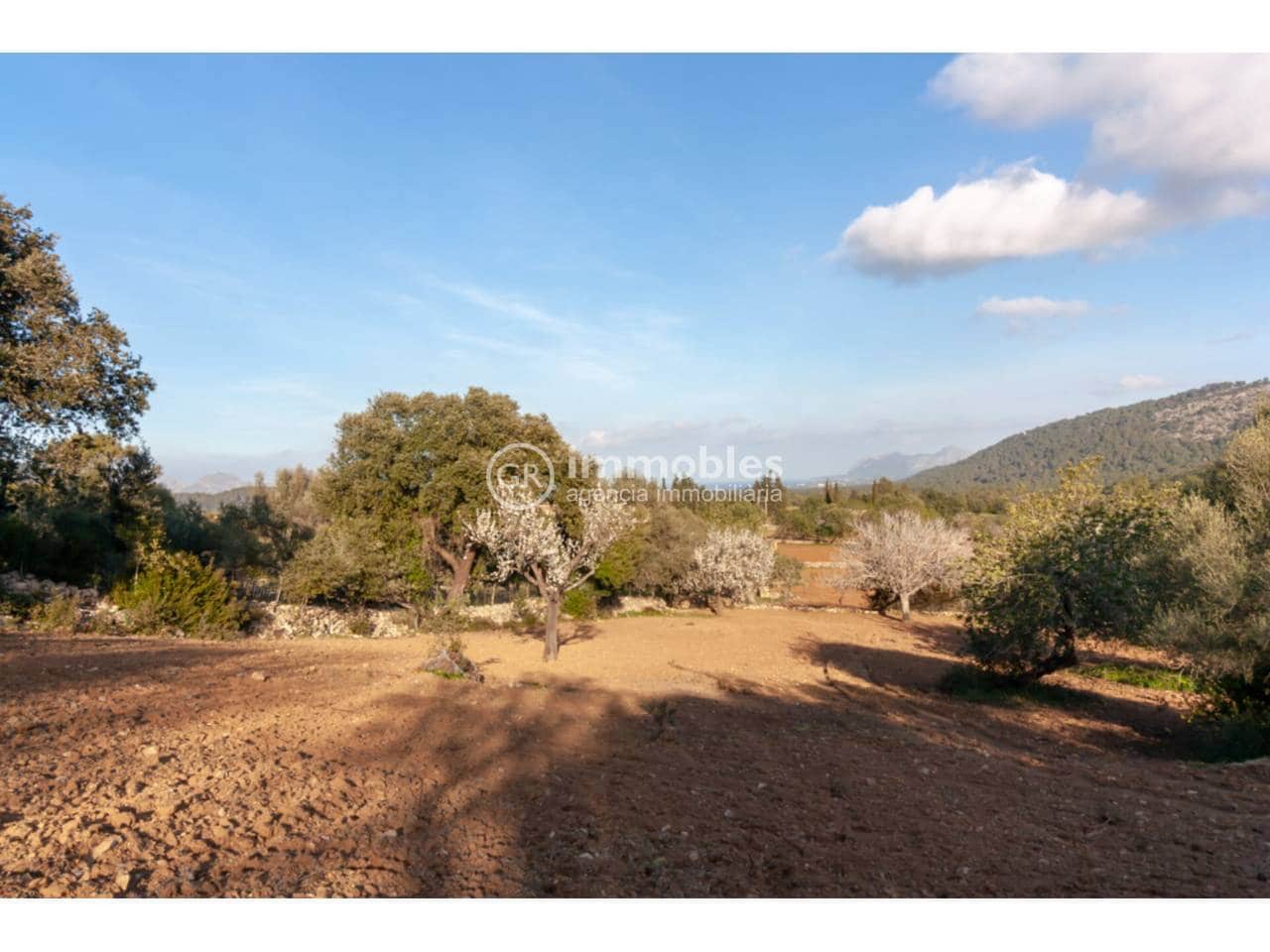 1 bedroom Villa for sale in Pollensa / Pollenca - € 2,700,000 (Ref: 9437975)