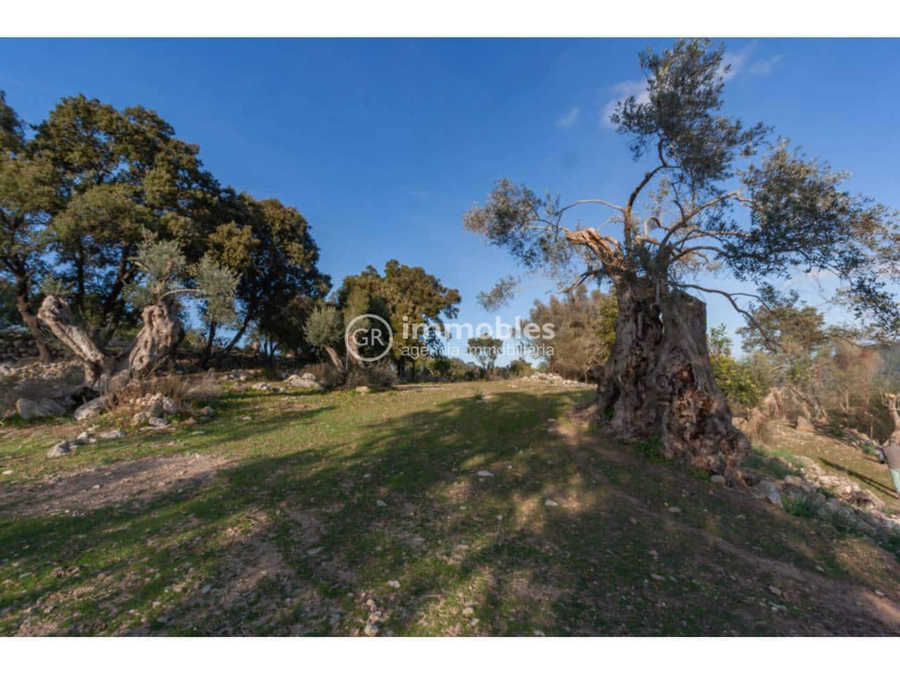 1 bedroom Villa for sale in Pollensa / Pollenca - € 2,700,000 (Ref: 9437975)