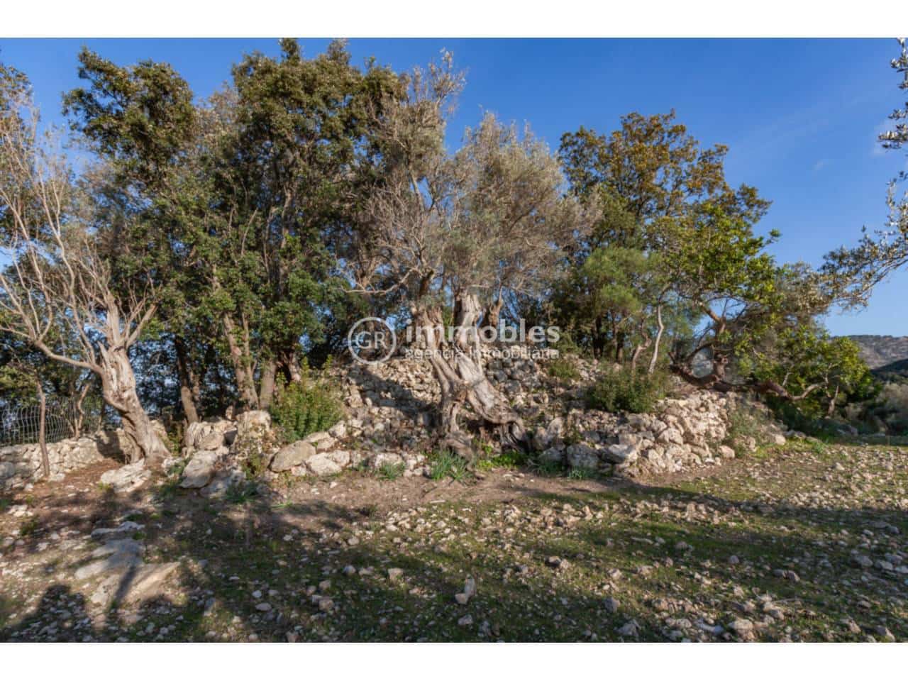 1 bedroom Villa for sale in Pollensa / Pollenca - € 2,700,000 (Ref: 9437975)