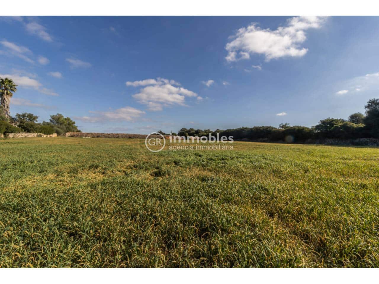 Byggetomt til salgs i Santa Margalida - € 286 000 (Ref: 9437979)