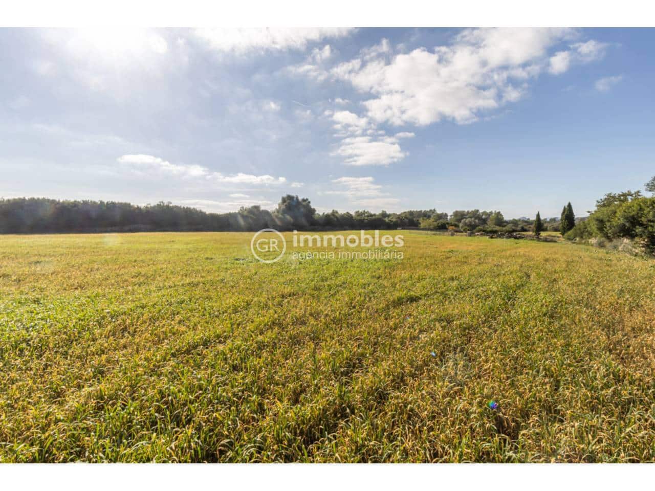 Byggetomt til salgs i Santa Margalida - € 286 000 (Ref: 9437979)