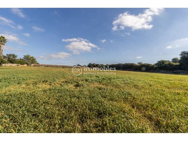 Byggetomt til salgs i Santa Margalida - € 286 000 (Ref: 9437979)