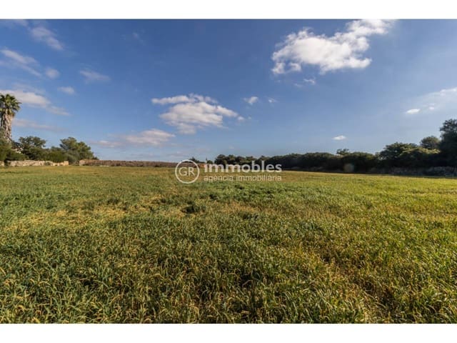 Byggetomt til salgs i Santa Margalida - € 286 000 (Ref: 9437979)