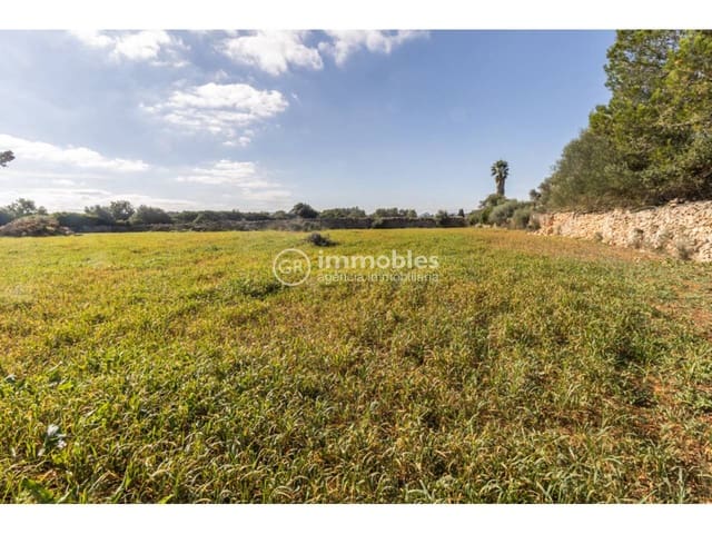 Byggetomt til salgs i Santa Margalida - € 286 000 (Ref: 9437979)