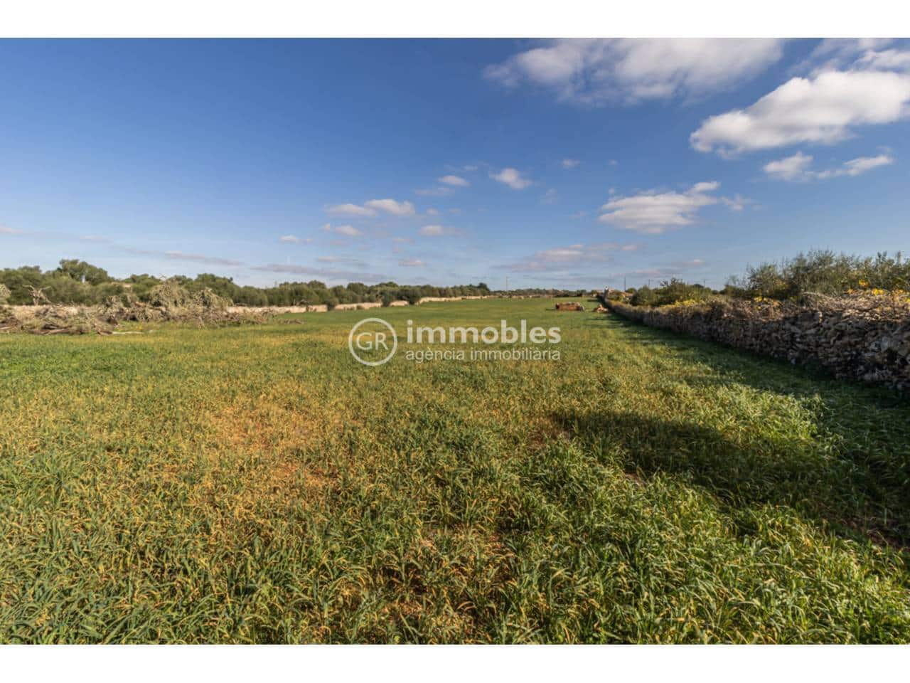 Byggetomt til salgs i Santa Margalida - € 286 000 (Ref: 9437979)