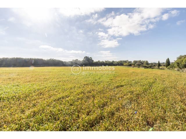 Byggetomt til salgs i Santa Margalida - € 286 000 (Ref: 9437979)