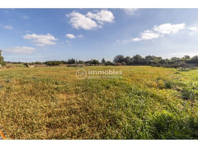 Byggetomt til salgs i Santa Margalida - € 286 000 (Ref: 9437979)