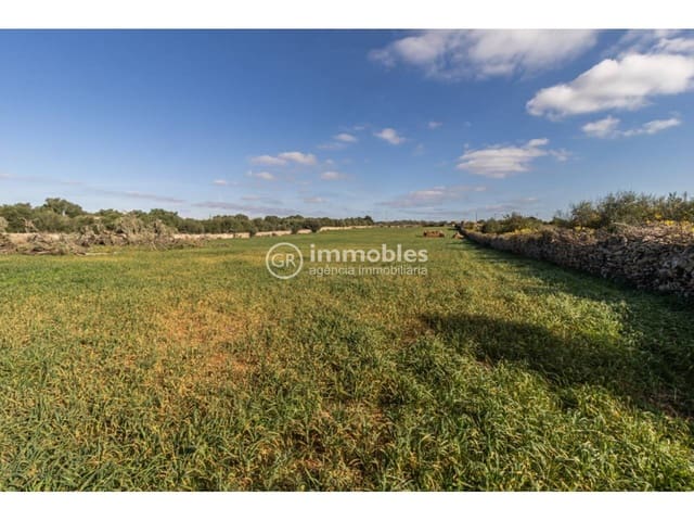 Byggetomt til salgs i Santa Margalida - € 286 000 (Ref: 9437979)