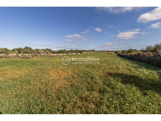 Byggetomt til salgs i Santa Margalida - € 286 000 (Ref: 9437979)