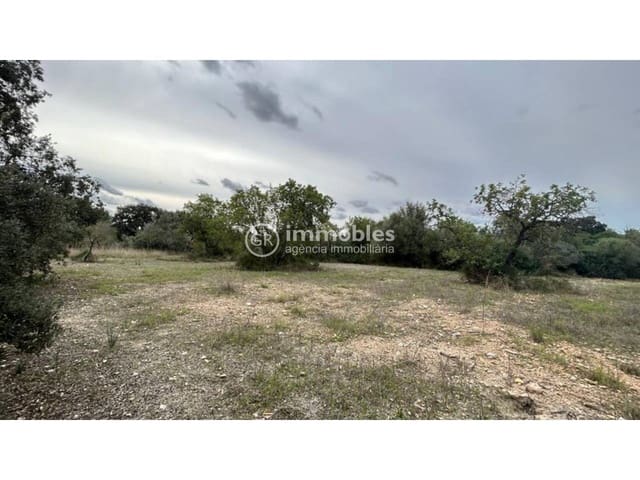 Ubebygd land til salgs i Lloseta - € 120 000 (Ref: 9437985)