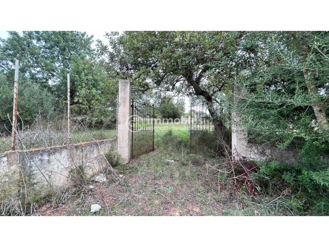 Undeveloped Land for sale in Lloseta - € 120,000 (Ref: 9437985)