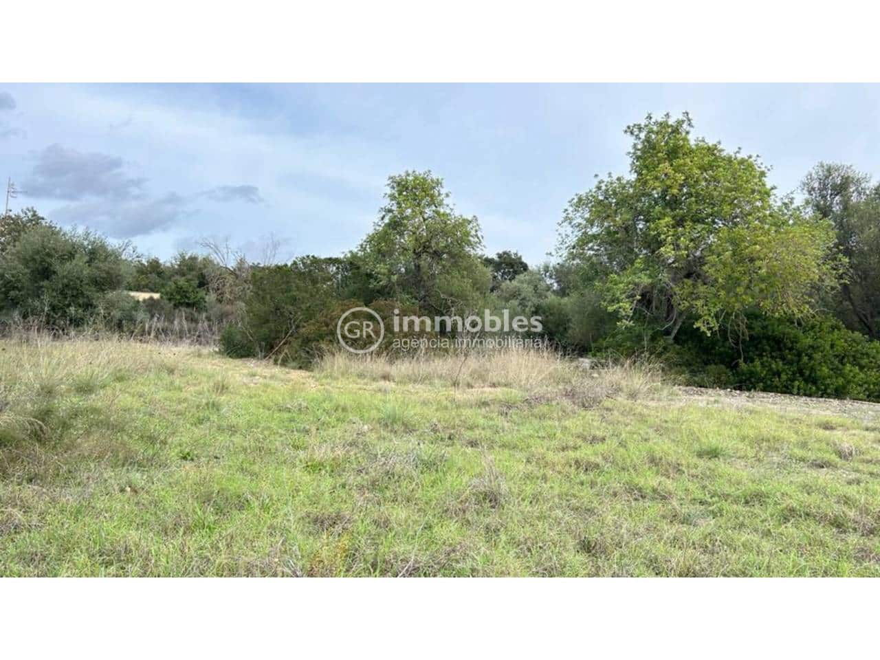 Undeveloped Land for sale in Lloseta - € 120,000 (Ref: 9437985)