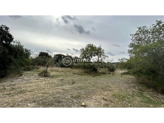 Ubebygd land til salgs i Lloseta - € 120 000 (Ref: 9437985)