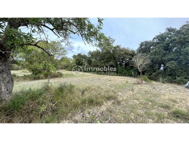 Ubebygd land til salgs i Lloseta - € 120 000 (Ref: 9437985)