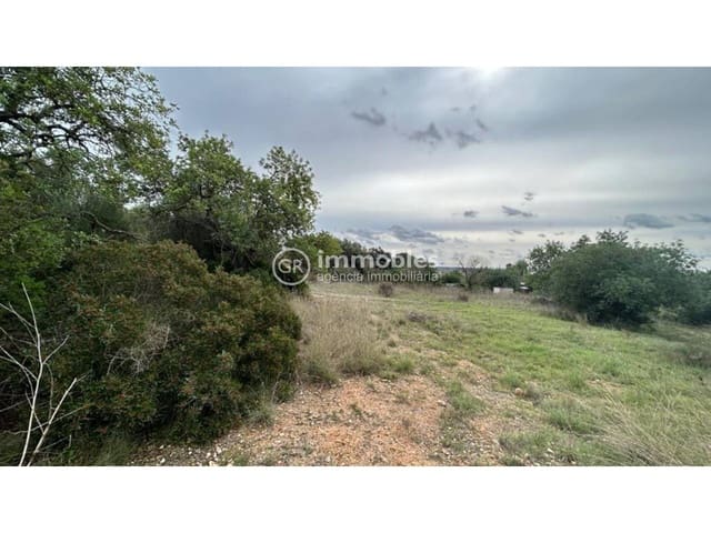 Ubebygd land til salgs i Lloseta - € 120 000 (Ref: 9437985)
