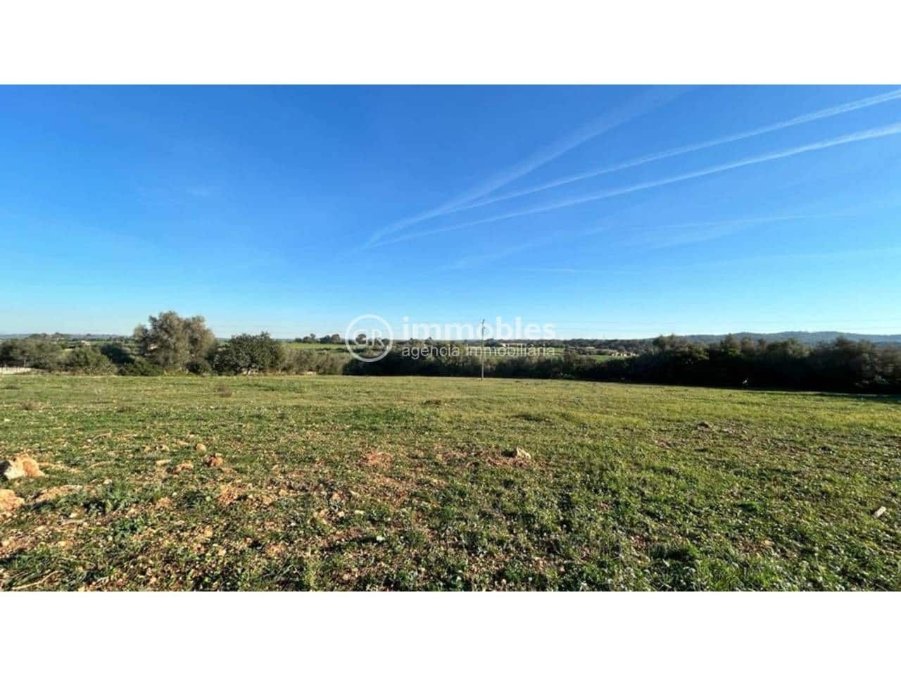 Undeveloped Land for sale in Inca - € 340,000 (Ref: 9437987)