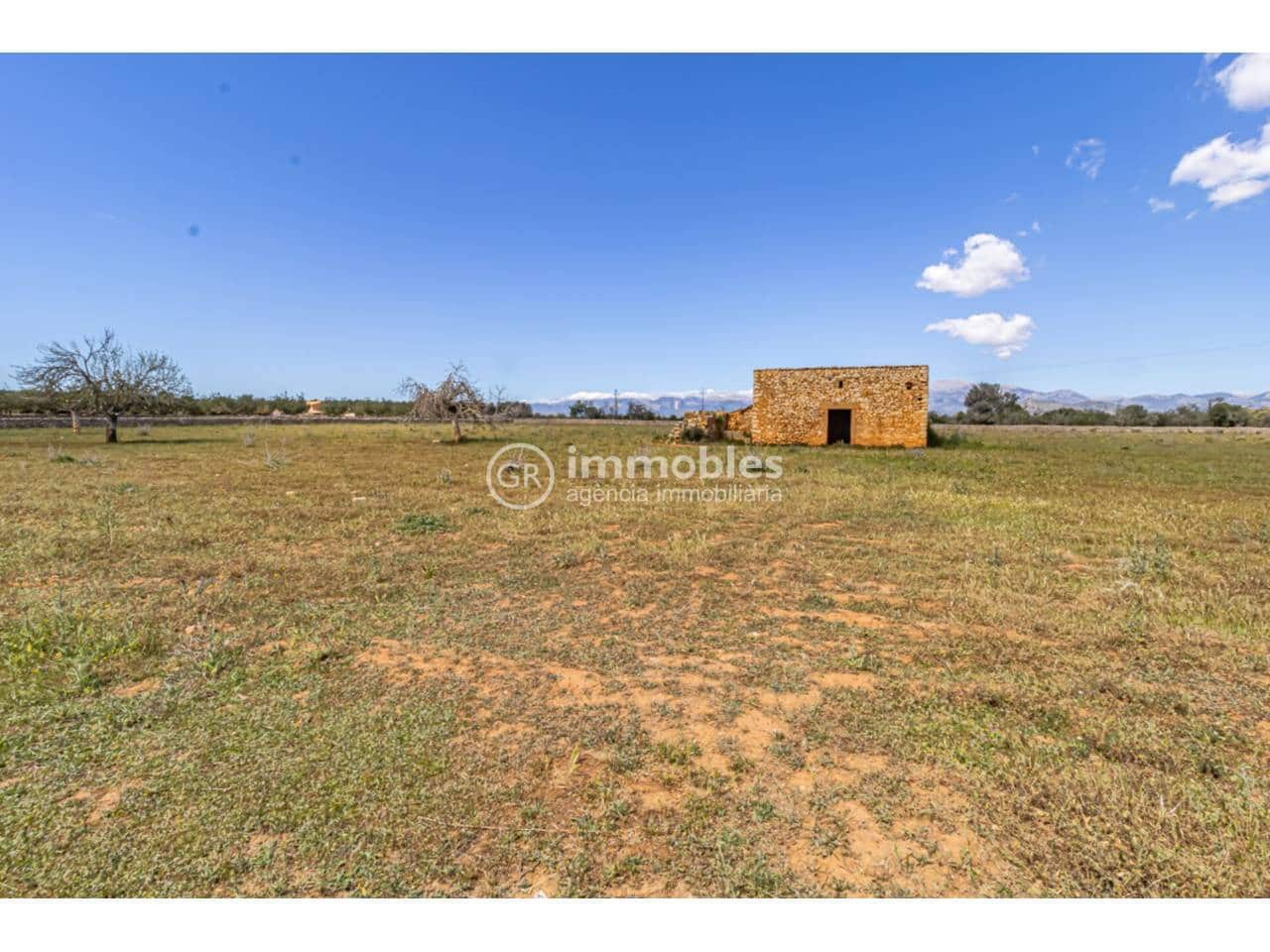 Grunde uden byggetilladelser til salg i Sineu - € 213.000 (Ref: 9437991)