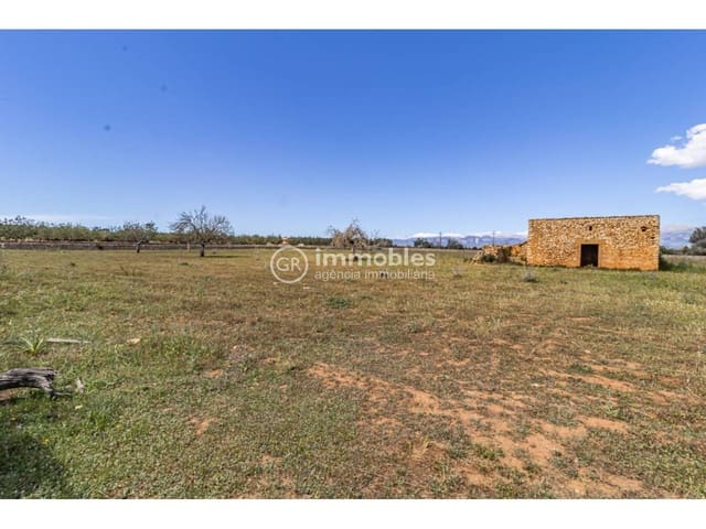 Grunde uden byggetilladelser til salg i Sineu - € 213.000 (Ref: 9437991)