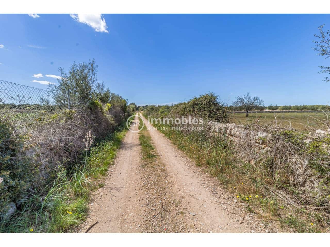 Grunde uden byggetilladelser til salg i Sineu - € 213.000 (Ref: 9437991)