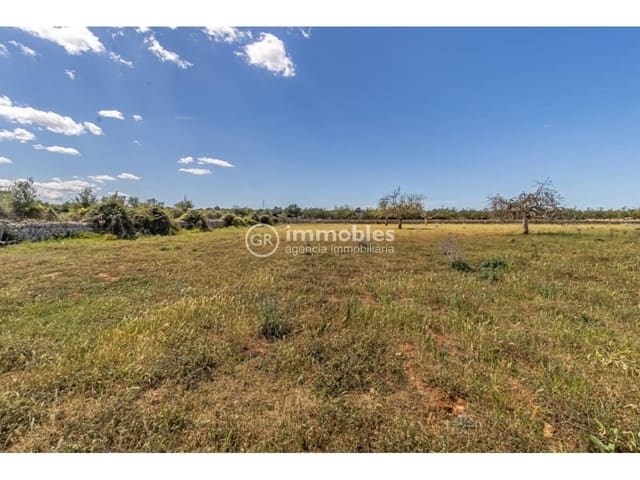 Grunde uden byggetilladelser til salg i Sineu - € 213.000 (Ref: 9437991)