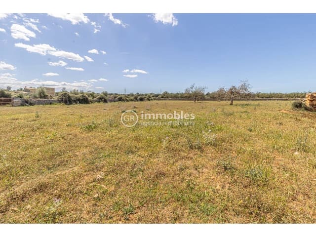 Grunde uden byggetilladelser til salg i Sineu - € 213.000 (Ref: 9437991)