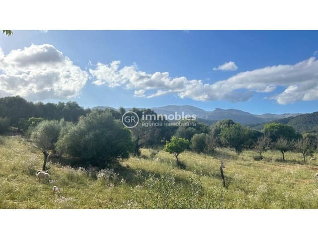 Terreno/Finca Rústica en Campanet en venta - 500.000 € (Ref: 9437997)