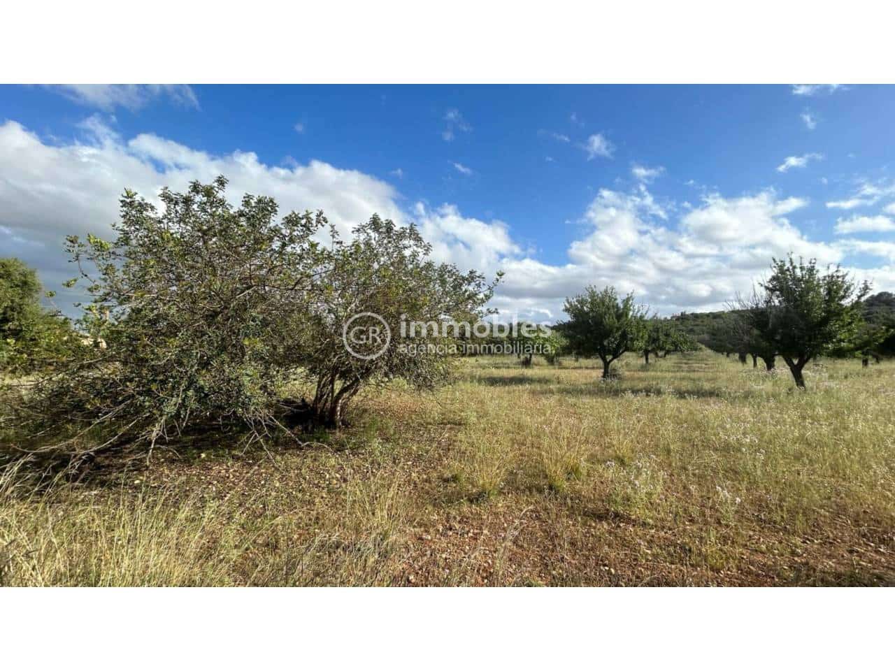 Terreno/Finca Rústica en Campanet en venta - 500.000 € (Ref: 9437997)