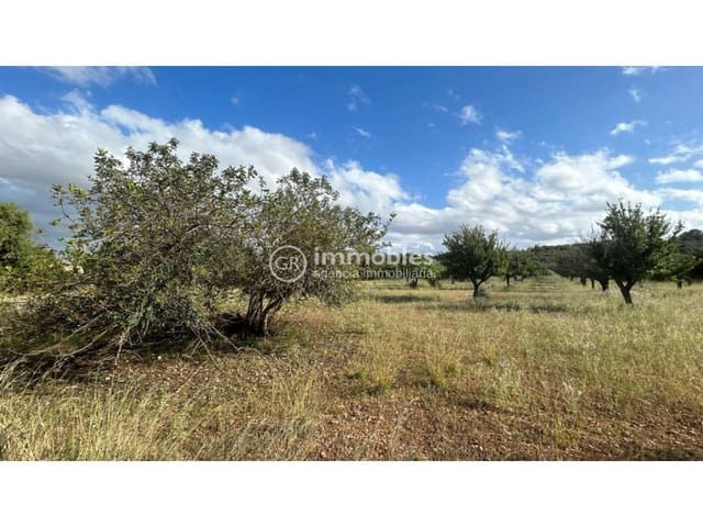Terreno/Finca Rústica en Campanet en venta - 500.000 € (Ref: 9437997)