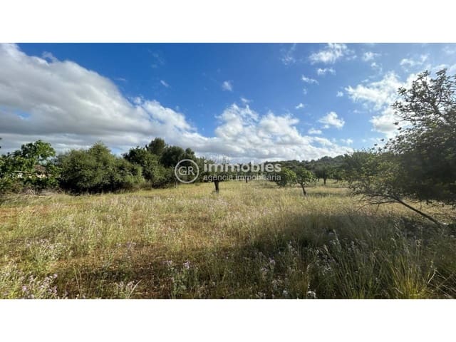 Terreno/Finca Rústica en Campanet en venta - 500.000 € (Ref: 9437997)